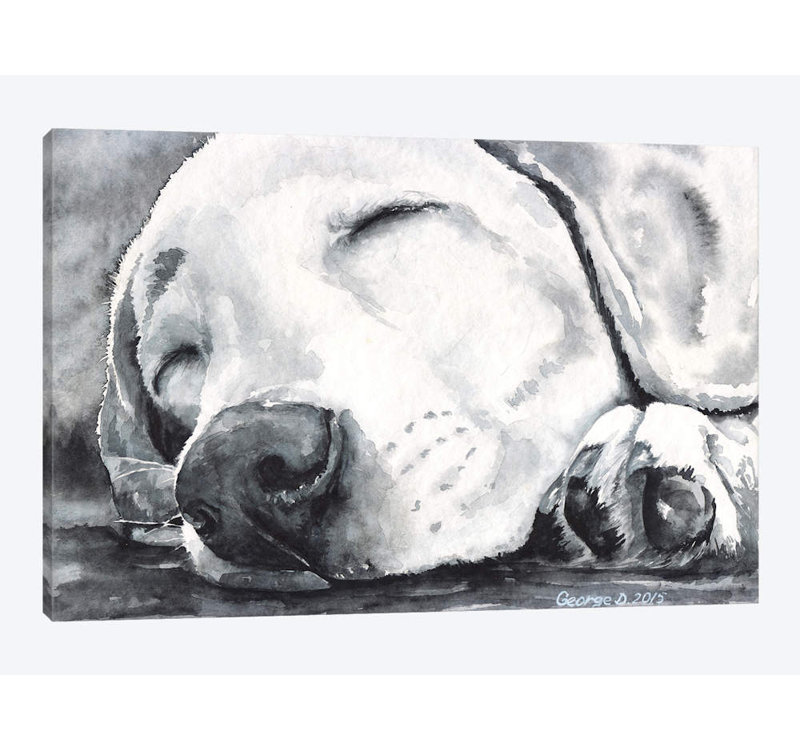 " Happy Dreams " by George Dyachenko, 18" H x 26" W x 1.5" D, Wrapped Canvas