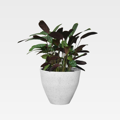 Pot à fleurs Kaylen