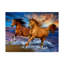 « two brown cheval », reproduction de peinture à l’acrylique sur toile tendue-26859876