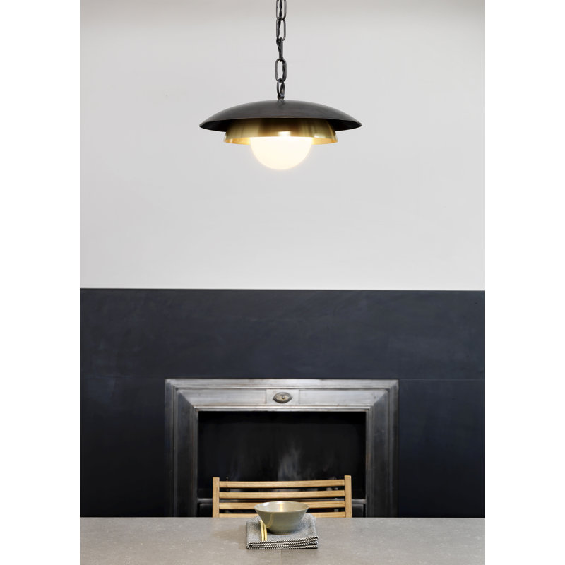 Carapace 1 - Light Pendant