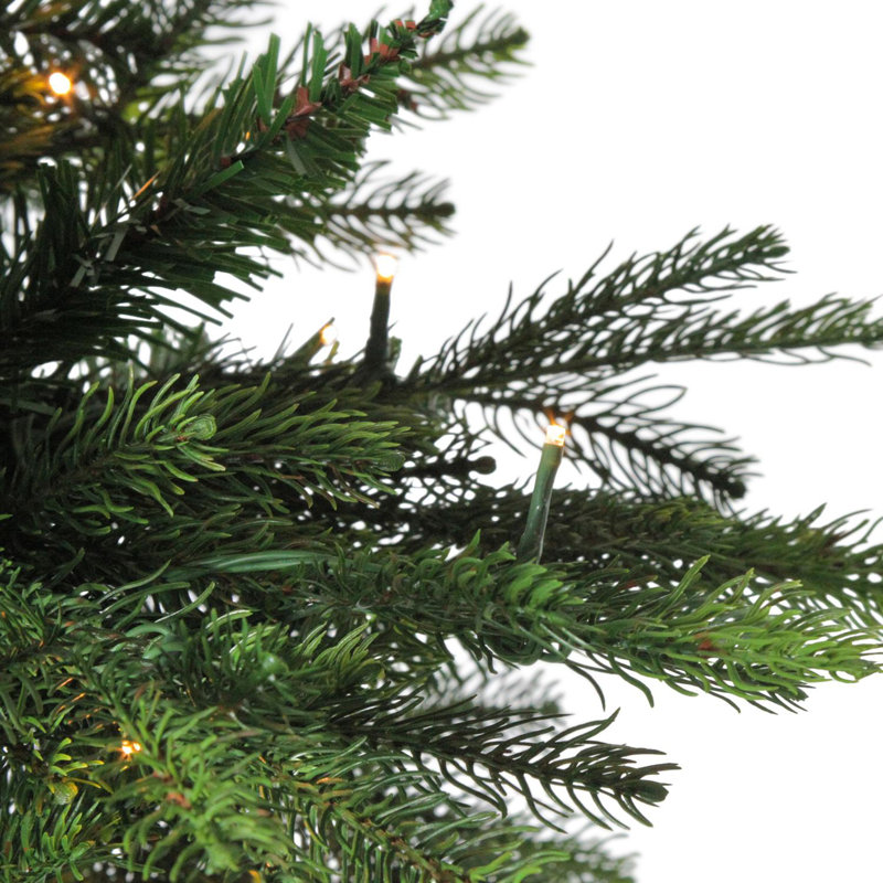 6' Pre-Lit Potted Oregon Noble Fir Slim Artificial Christmas Tree - Clear LED Lights