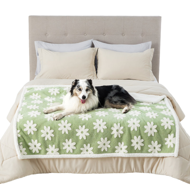 Couverture pour chien et chat Lesure, XL (l 60 po x P 50 po), Marais floral
