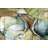 Shell Collage I-1743104928