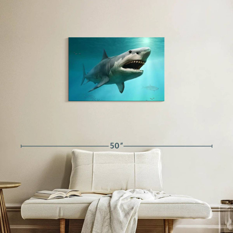 Requin mégalodon éteint, H 20 po x l 30 po