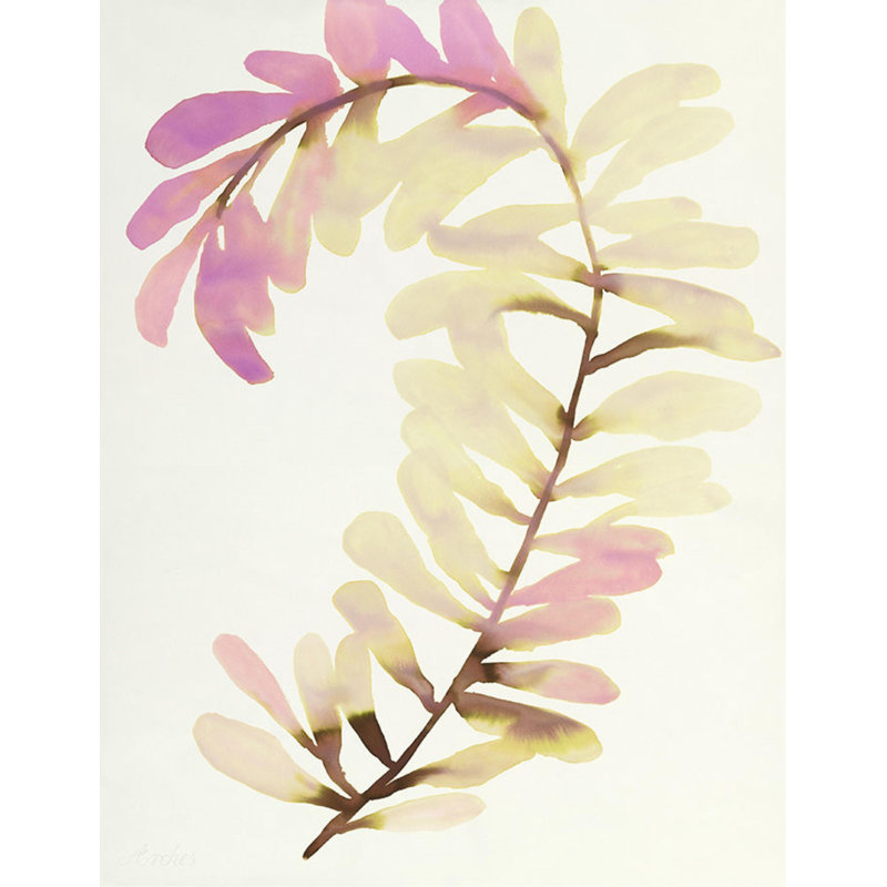 Plants VIII Print by Hable Construction, Outdoor
