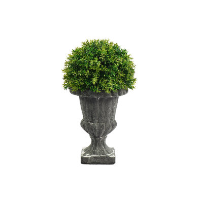 11.5'' Faux Boxwood Topiary in Urn