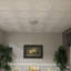 Carreau de plafond en polystyrène Chestnut Grove 1,6 pi x 1,6 pi