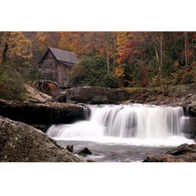 Landscape & Nature Non-Wall Damaging Wall Decal, 16" H x 24" W