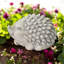 Animals Concrete / Cement Garden Statue-235632849