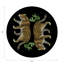 Napperon Leopard-117392983