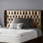 Mandalay Upholstered Headboard-1972175568-1972175583