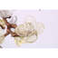 Lustre Araiyah lumière amande clair-560991741-560991684-560991693