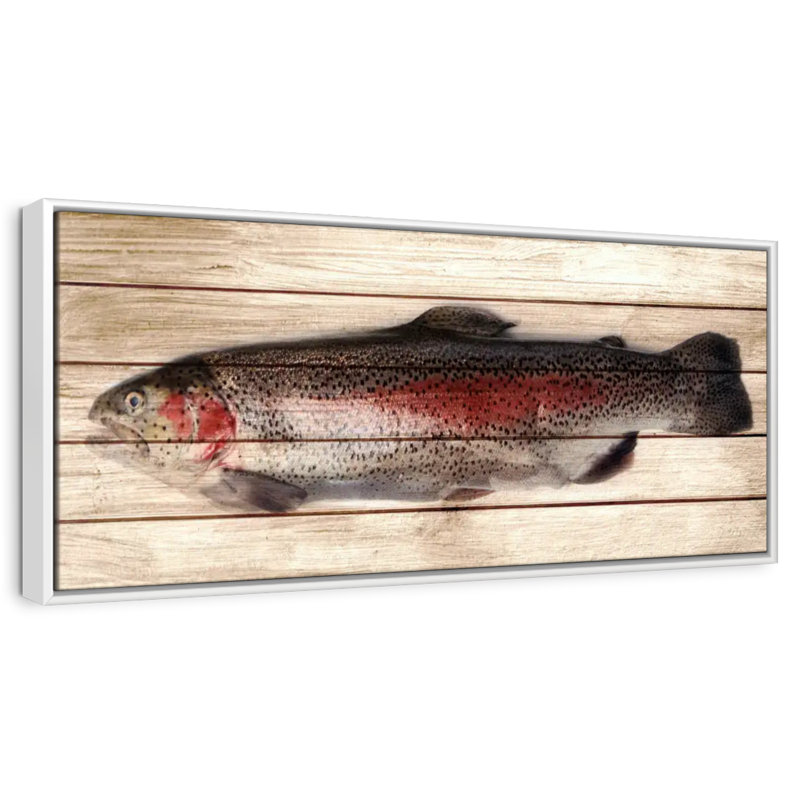 Trout, 43" X 15", Floating Frame White