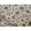 Dharma Oriental Area Rug