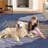 Jaidev Geometric Area Rug