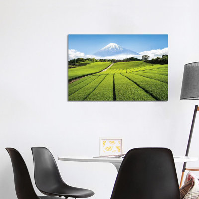 Green Tea Plantation And Mount Fuji by Jan Becke - Wrapped Canvas Gallery-Wrapped Canvas Giclée
