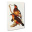 Philip Island Parrots by Elizabeth Gould - Wrapped Canvas-55325253