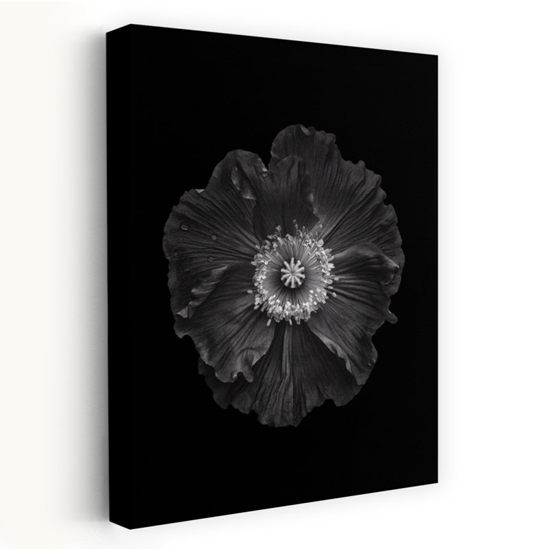 Art mural contemporain abstrait coquelicot noir et blanc, H 24 po x l 16 po