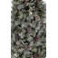 Lighted Artificial Pine Christmas Tree-855977380