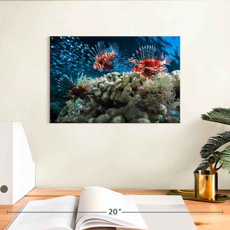 Crowle Lionfish School, 8" H x 12" W