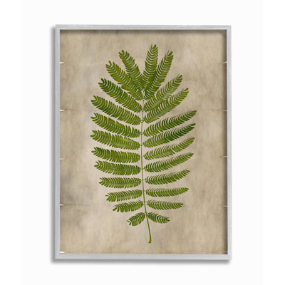 " Plant Parchment Green "