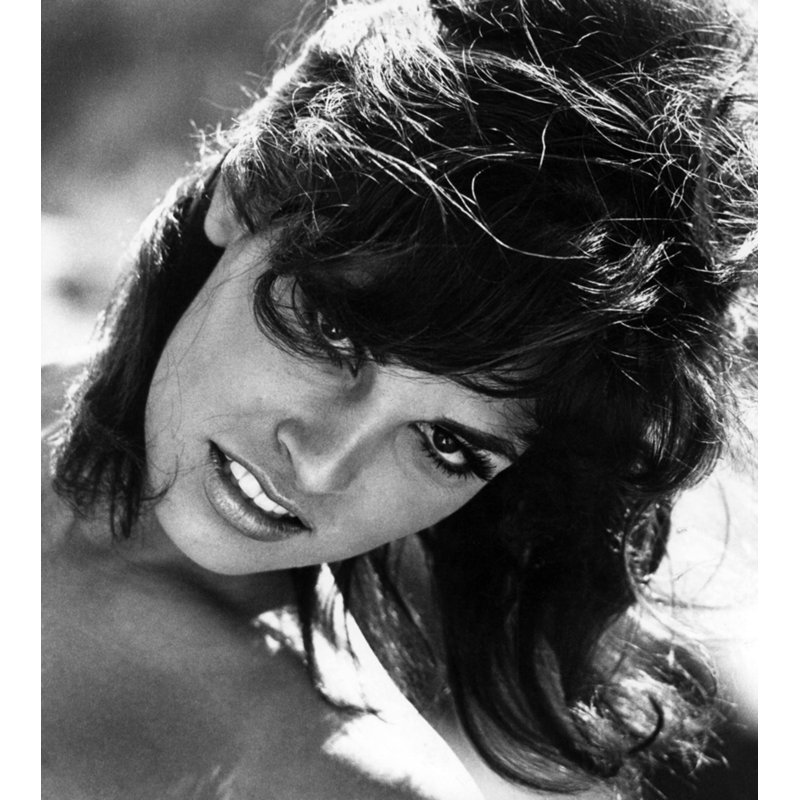 Gros plan sur Raquel Welch, H 10 po x l 8 po