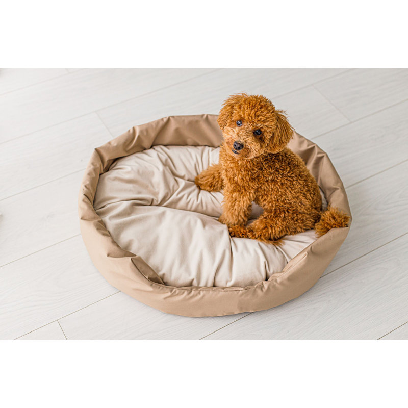 Spenser Codura/velour Pet Bed, 15cm H x 72cm W x 61cm D, Beige, Large