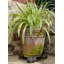 Roisin Weather Resistant Planter Feet