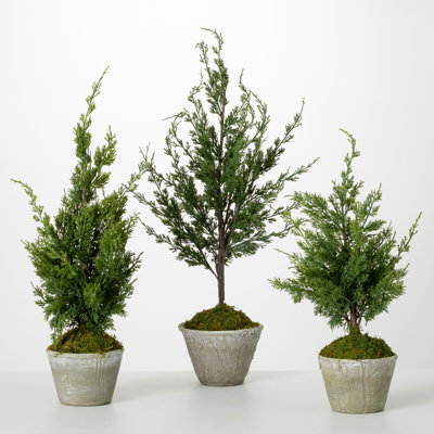 Simms 32'' Faux Cedar Tree in Cement Pot