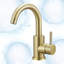 Single Hole Single-Handle Bar Faucet-107519853