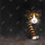 Chat discret - reproduction encadrée pour la décoration intérieure