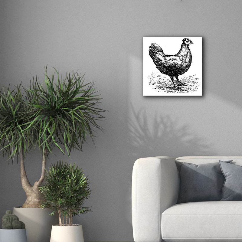 'Chicken Scratch' by Art Licensing Studio Canvas Wall Art, 18" H x 18" W x 0.75" D