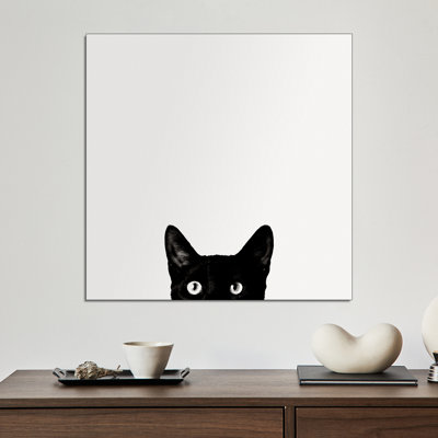 Reproduction d'art sur toile en métal «Steiosix» par Jon Bertelli
