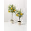 Ensemble de 2 plantes artificielles en pot