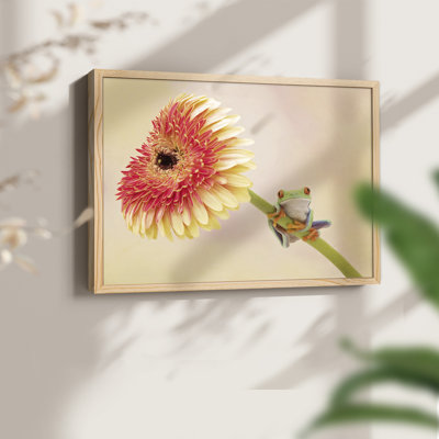 «Hanging On», reproduction encadrée