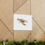 «Cray Fish Hunting», art mural animaux-740573130