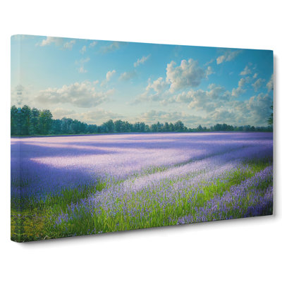 Heartwarming Bluebell Field - Wrapped Canvas