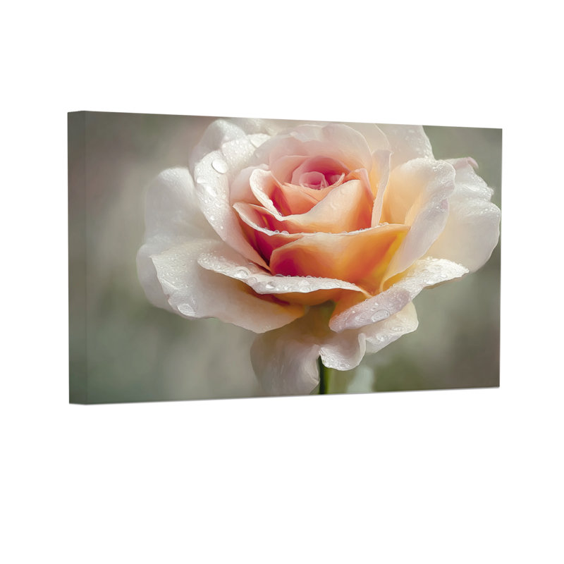 Plantes et fleurs rose tendre avec gouttes de rosée, H 16 po x l 24 po