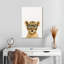 Lion à quatre yeux-80230146