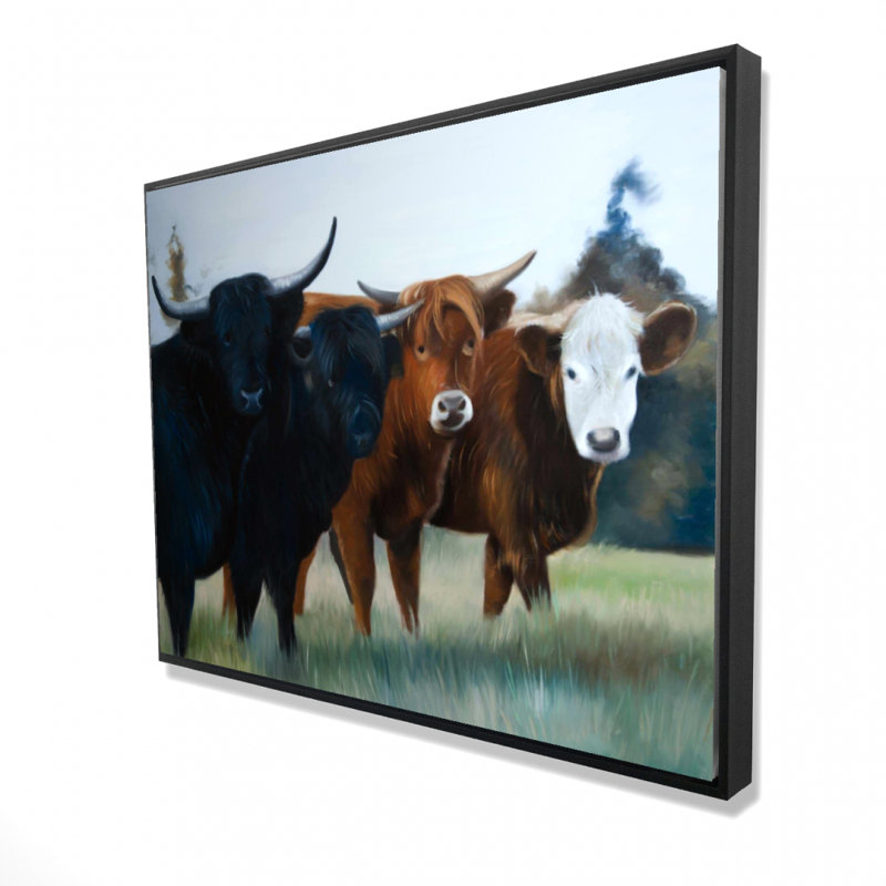 " Four Highland Cows "