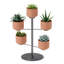 Anuva Planter