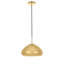 Luminaire suspendu pour dôme simple 1 lumières Gwenda-1337893128-1337884434