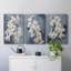 Floral Study Series LXII - Ensemble de toiles tendues avec châssis Premium - Prêt à être accroché-169498674