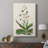 Flore Albo I -Custom Wrapped Gallery Cavas-1208184543