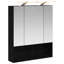 W H Wall Mounted Required Medicine Cabinet Mirror 2-1072544243-1072544246