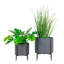 Dommonique Metal Pot Planter