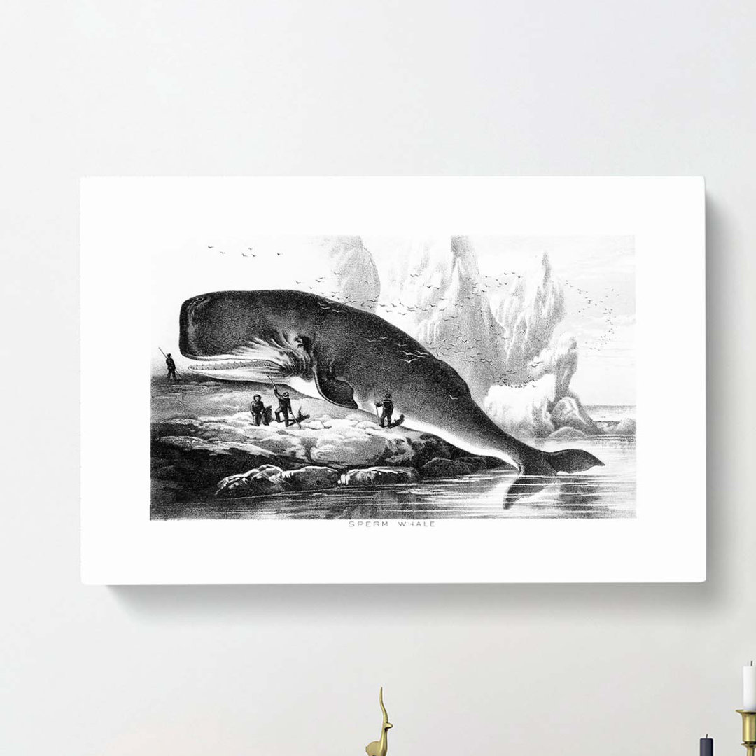 Hunted Sperm Whale by John Karst - Wrapped Canvas