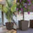 Pot Planter-979810681