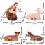 Christmas Nativity Set-2054378921