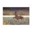 «Allan Wallberg Deers Flying Over The Cornfield», art sur toile-458500699